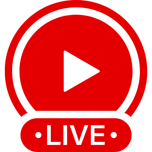 Femdom No Mercy | Live Webcam Shows & Interactive Adult Entertainment